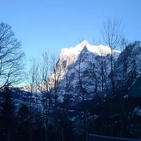 Buehlengasse 6 Grindelwald